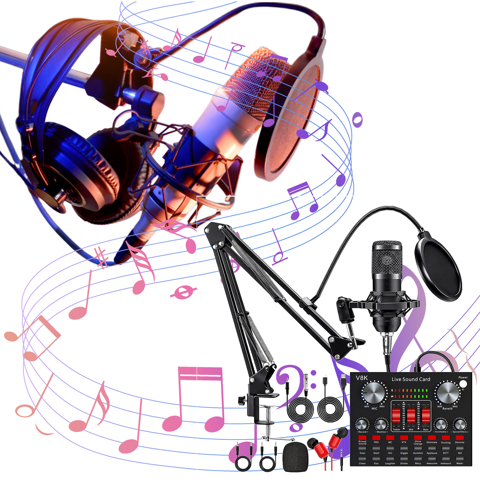 All-in-One Recording Equipment - Audio Music Changer 评论和价格